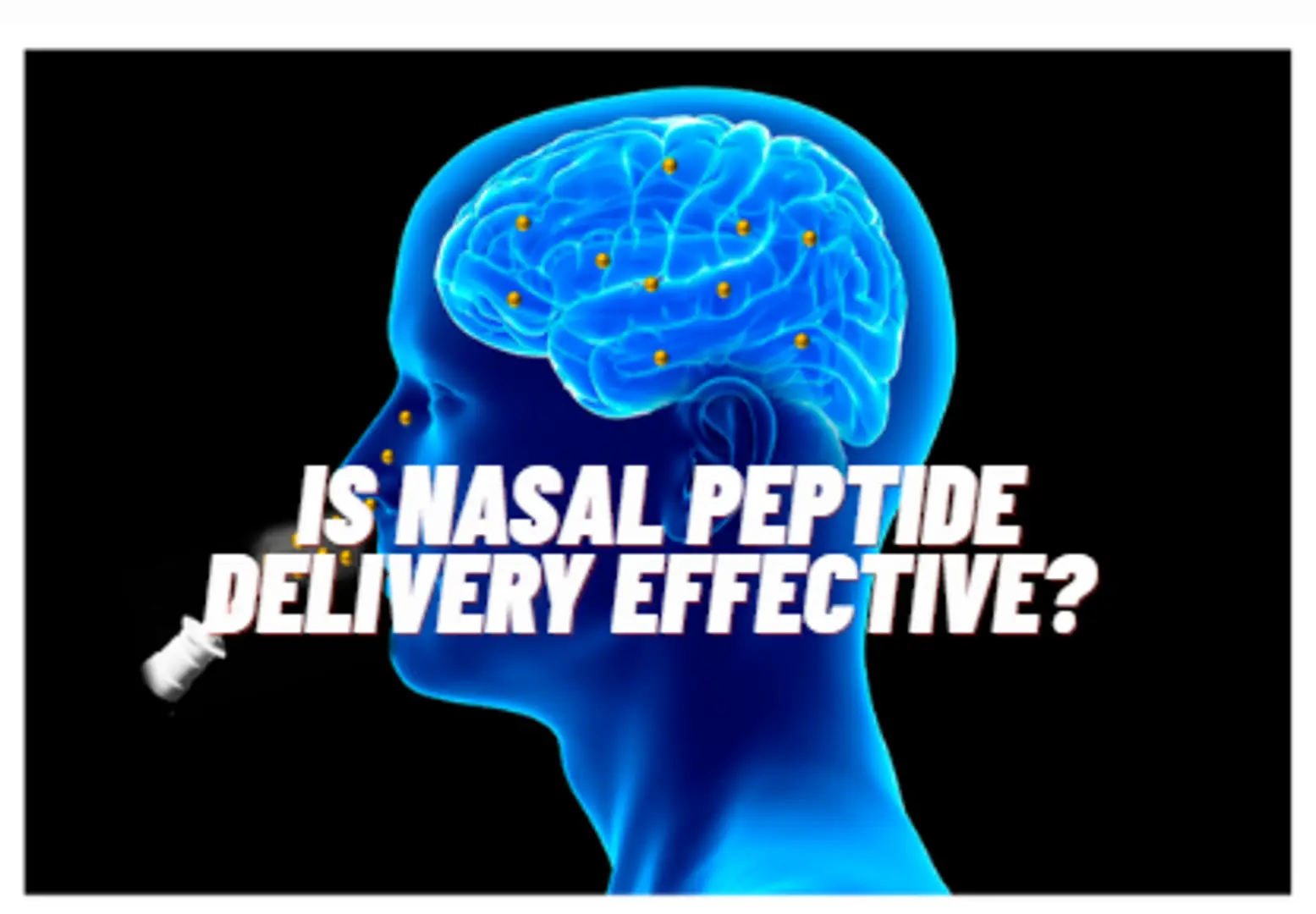 69325616e32061c21f750050